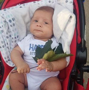 Meet your Posher, Lomolo